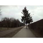 Zdjęcia użytkowników UMI Zero