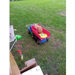 Zdjęcia użytkowników Umidigi A5 Pro