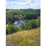 Zdjęcia użytkowników Umidigi Power 3