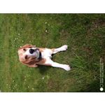 Zdjęcia użytkowników Umidigi S3 Pro