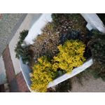 Zdjęcia użytkowników Umidigi S3 Pro