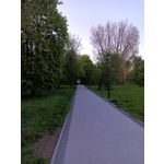 ZDJĘCIA Z TEGO TELEFONU
