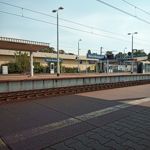 ZDJĘCIA Z TEGO TELEFONU