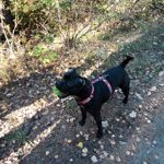 ZDJĘCIA Z TEGO TELEFONU