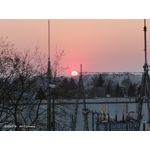Zdjęcia użytkowników Vivo iQOO 3 5G