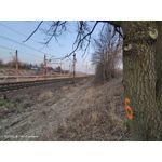 Zdjęcia użytkowników Vivo iQOO 3 5G