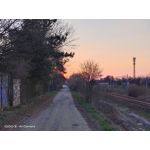 Zdjęcia użytkowników Vivo iQOO 3 5G