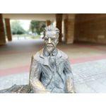 Zdjęcia użytkowników Vivo V21