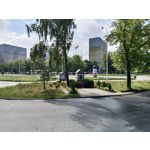 Zdjęcia użytkowników Vivo V21