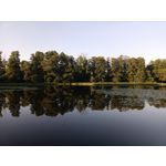 Zdjęcia użytkowników Vivo V21