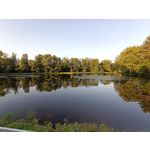 Zdjęcia użytkowników Vivo V21