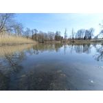 Zdjęcia użytkowników Vivo V23 5G Zdjęcia użytkowników Vivo V23 5G