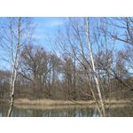 Zdjęcia użytkowników Vivo V23 5G Zdjęcia użytkowników Vivo V23 5G