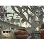 Zdjęcia użytkowników Vivo V23 5G Zdjęcia użytkowników Vivo V23 5G