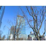 Zdjęcia użytkowników Vivo V23 5G Zdjęcia użytkowników Vivo V23 5G