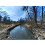 Zdjęcia użytkowników Vivo V23 5G Zdjęcia użytkowników Vivo V23 5G