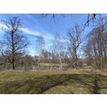 Zdjęcia użytkowników Vivo V23 5G Zdjęcia użytkowników Vivo V23 5G