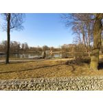 Zdjęcia użytkowników Vivo V23 5G Zdjęcia użytkowników Vivo V23 5G