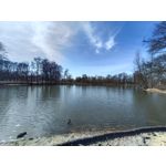 Zdjęcia użytkowników Vivo V23 5G Zdjęcia użytkowników Vivo V23 5G