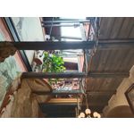 Zdjęcia użytkowników Vivo V23 5G Zdjęcia użytkowników Vivo V23 5G