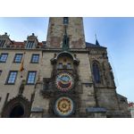 Zdjęcia użytkowników Vivo V23 5G Zdjęcia użytkowników Vivo V23 5G