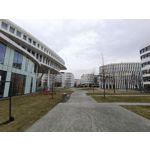 Zdjęcia użytkowników Vivo V23 5G Zdjęcia użytkowników Vivo V23 5G