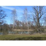 Zdjęcia użytkowników Vivo V23 5G Zdjęcia użytkowników Vivo V23 5G