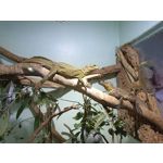 Zdjęcia użytkowników Vivo V23 5G Zdjęcia użytkowników Vivo V23 5G