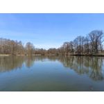 Zdjęcia użytkowników Vivo V23 5G Zdjęcia użytkowników Vivo V23 5G