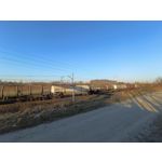 Zdjęcia użytkowników Vivo V23 5G Zdjęcia użytkowników Vivo V23 5G