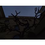 Zdjęcia użytkowników Vivo V23 5G Zdjęcia użytkowników Vivo V23 5G