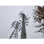 Zdjęcia użytkowników Vivo X51 5G