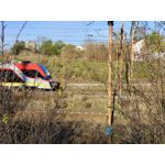 Zdjęcia użytkowników Vivo X51 5G