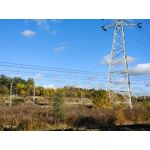 Zdjęcia użytkowników Vivo X51 5G