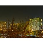 Zdjęcia użytkowników Vivo X51 5G