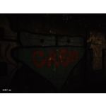 Zdjęcia użytkowników Vivo X51 5G