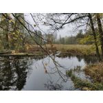 Zdjęcia użytkowników Vivo X51 5G