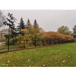 Zdjęcia użytkowników Vivo X51 5G