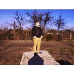 Zdjęcia użytkowników Vivo X51 5G