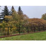 Zdjęcia użytkowników Vivo X51 5G