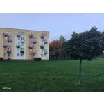 Zdjęcia użytkowników Vivo X51 5G