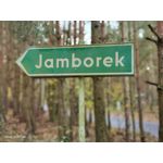 Zdjęcia użytkowników Vivo X51 5G