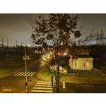 Zdjęcia użytkowników Vivo X51 5G