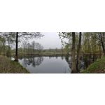 Zdjęcia użytkowników Vivo X51 5G