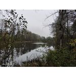 Zdjęcia użytkowników Vivo X51 5G