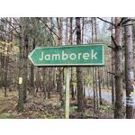 Zdjęcia użytkowników Vivo X51 5G