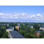 Zdjęcia użytkowników Vivo X60 Pro