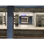 Zdjęcia użytkowników Vivo X60 Pro