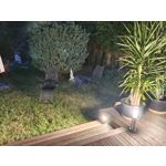 Zdjęcia użytkowników Vivo X60 Pro
