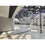 Zdjęcia użytkowników Vivo X60 Pro